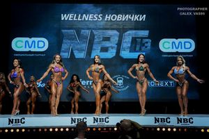 WELLNESS НОВИЧКИ